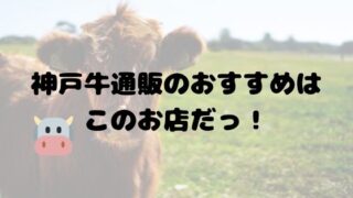 神戸牛 通販